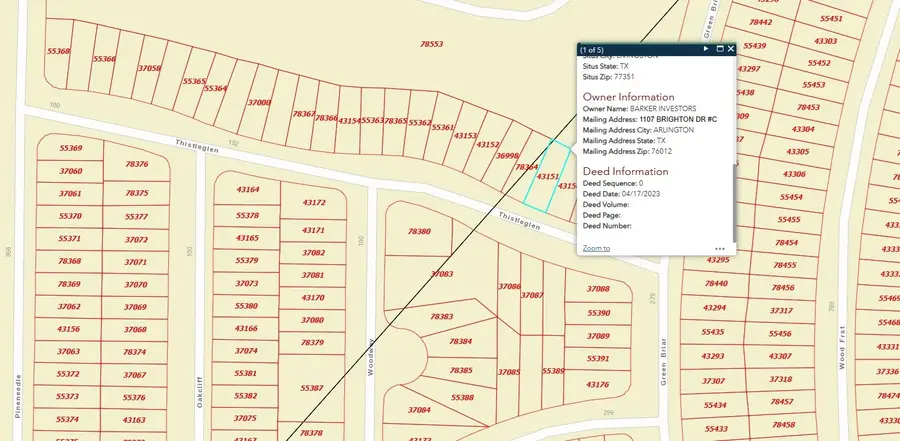818 Thistleglen, Livingston, TX 77351 - #2