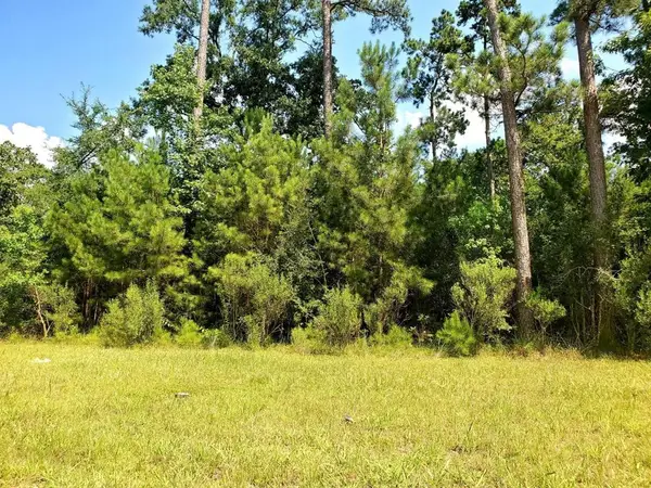 105 Kings Lake Estates Boulevard, Humble, TX 77346