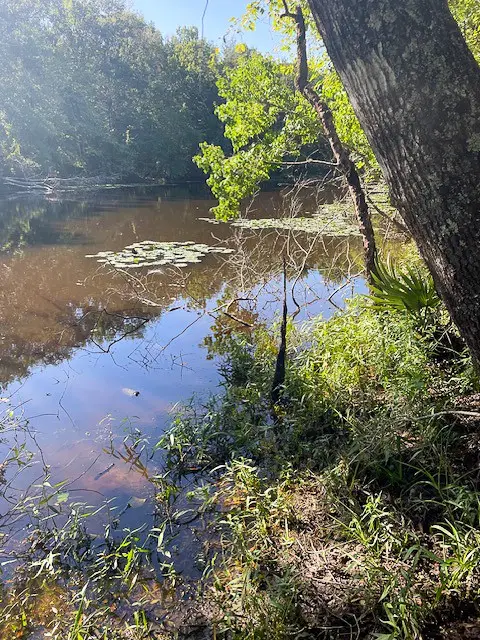 1 Jenkins Road North, Oakhurst, TX 77359