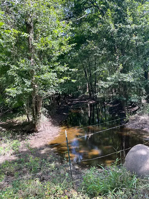 1 Jenkins Road North, Oakhurst, TX 77359 - #2