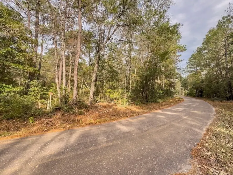 Lot 3 John Keely Road, Zavalla, TX 75980 - #2