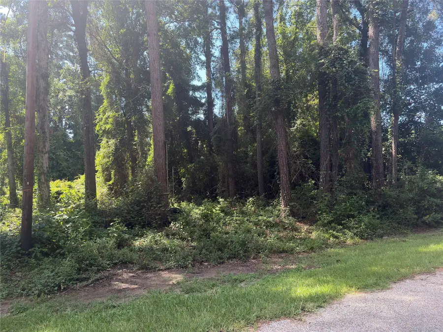 278 Holly Drive, Onalaska, TX 77360 - #2