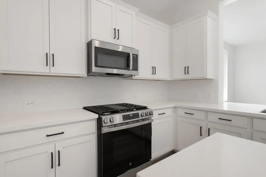 32007 Sweet Pea Meadows Drive, Hockley, TX 77447 - #3