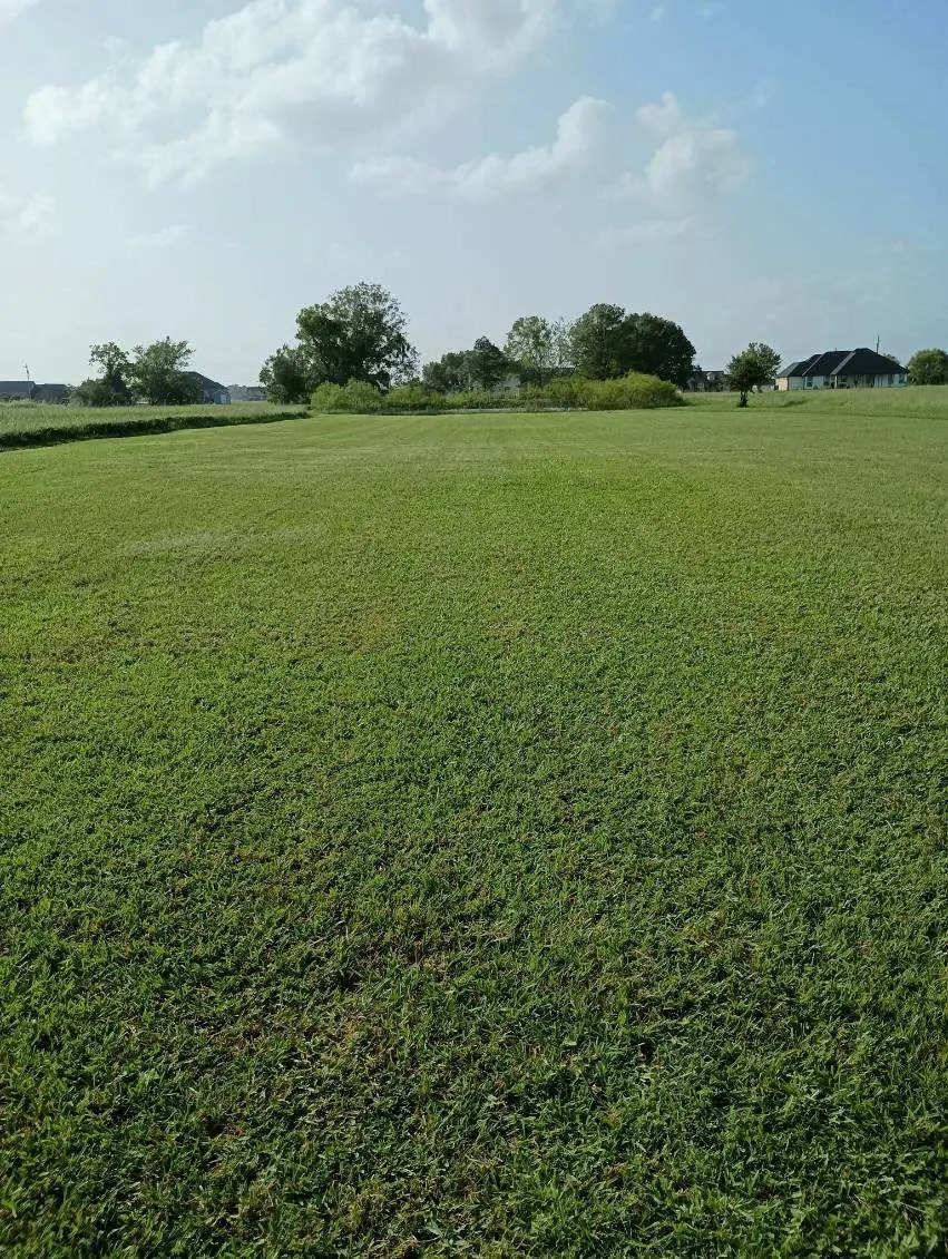 0 Palomino Trail, Angleton, TX 77515 - Image #1