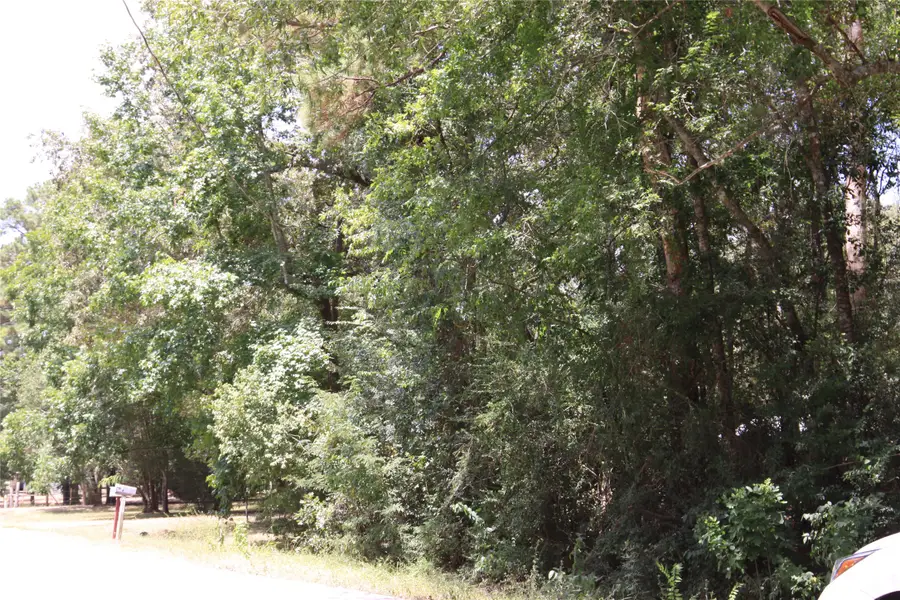 tbd Dove Creek Drive, Coldspring, TX 77331 - #3