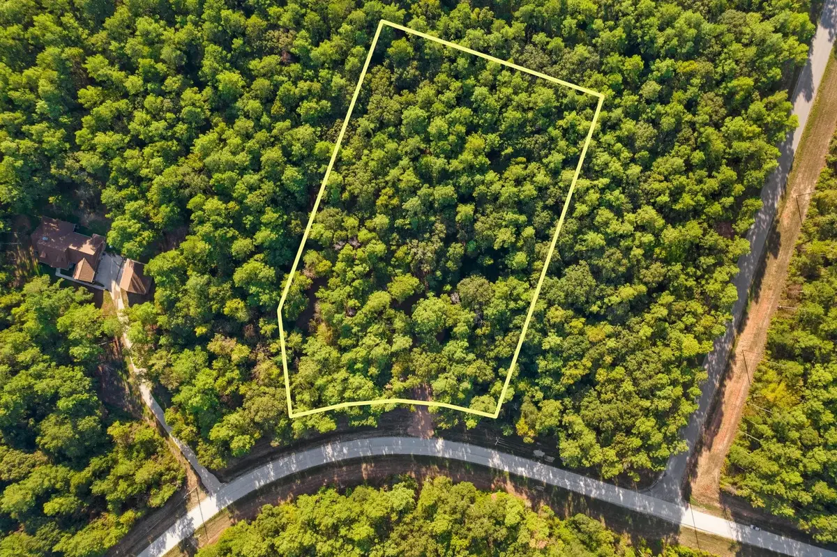 244 Remington Road, Huntsville, TX 77340 - #1