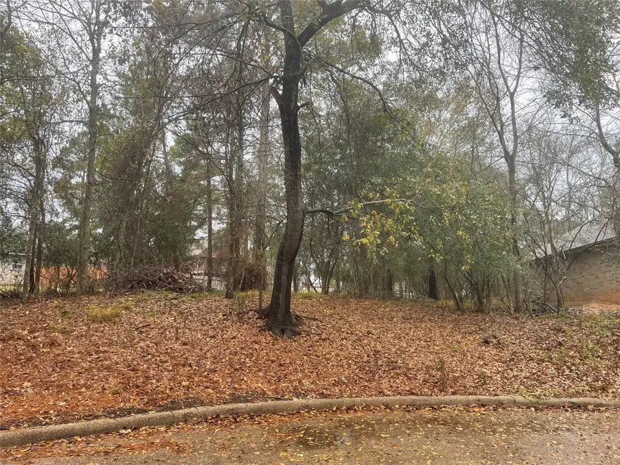 3503 Woodland Lane, Montgomery, TX 77356 - #2