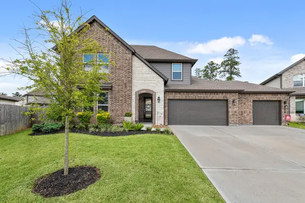 10009 Gray Jay Court, Conroe, TX 77384
