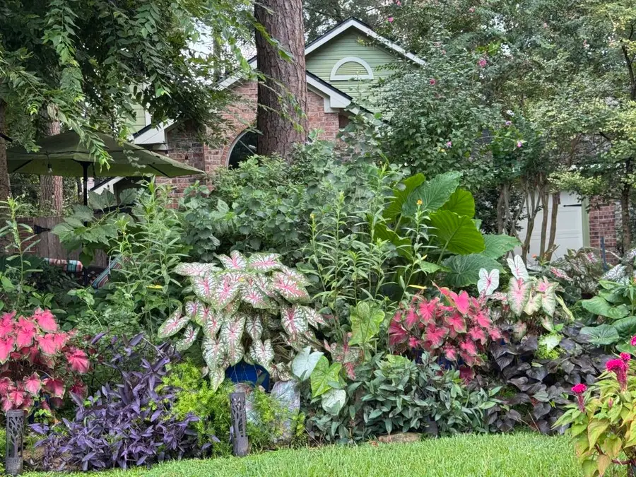 #3
