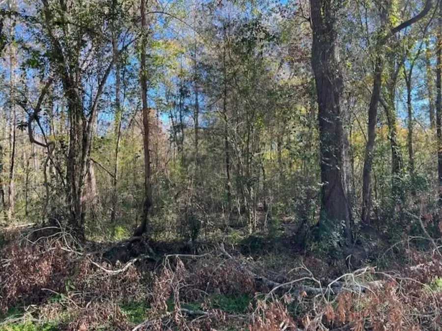 0000 Lazy Creek Drive, New Caney, TX 77357 - #2