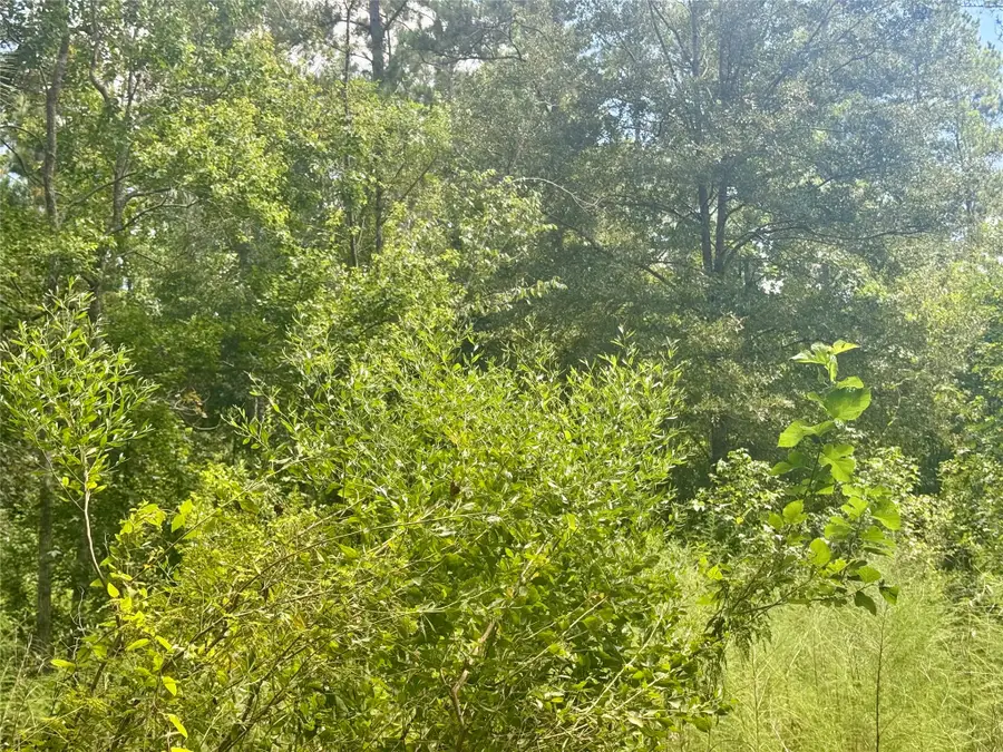 0000 Buffalo Lane, Silsbee, TX 77656 - #2