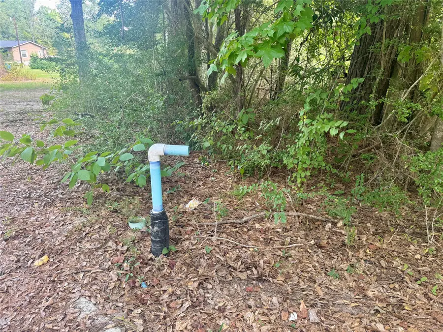 0000 Buffalo Lane, Silsbee, TX 77656 - #3
