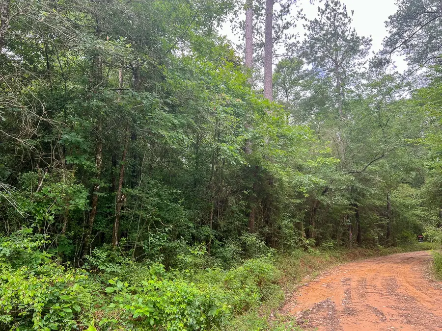 0 Bracken Cemetery Road, City Unavailable, TX 77625 - Image #3