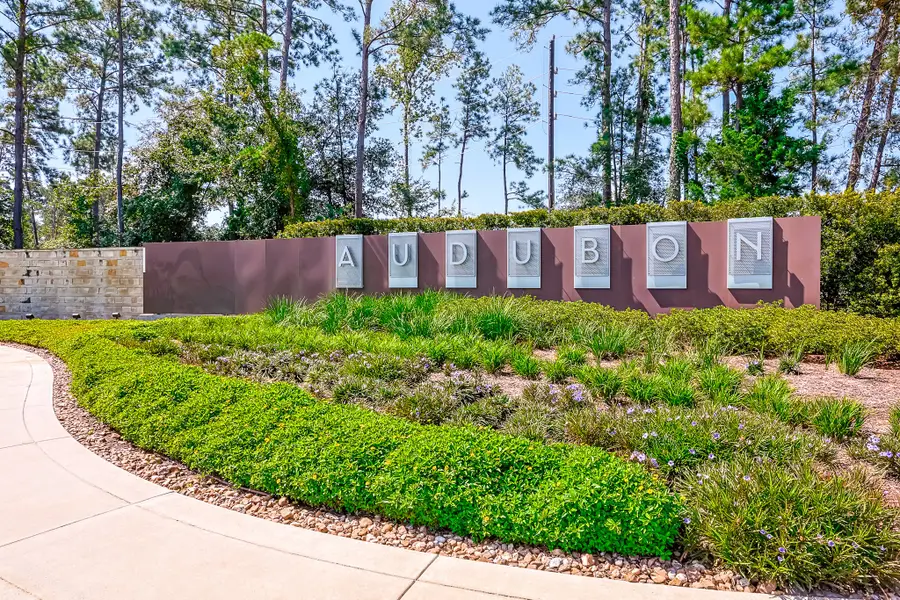 40403 Bay Warbler Way, Magnolia, TX 77354 - Image #2