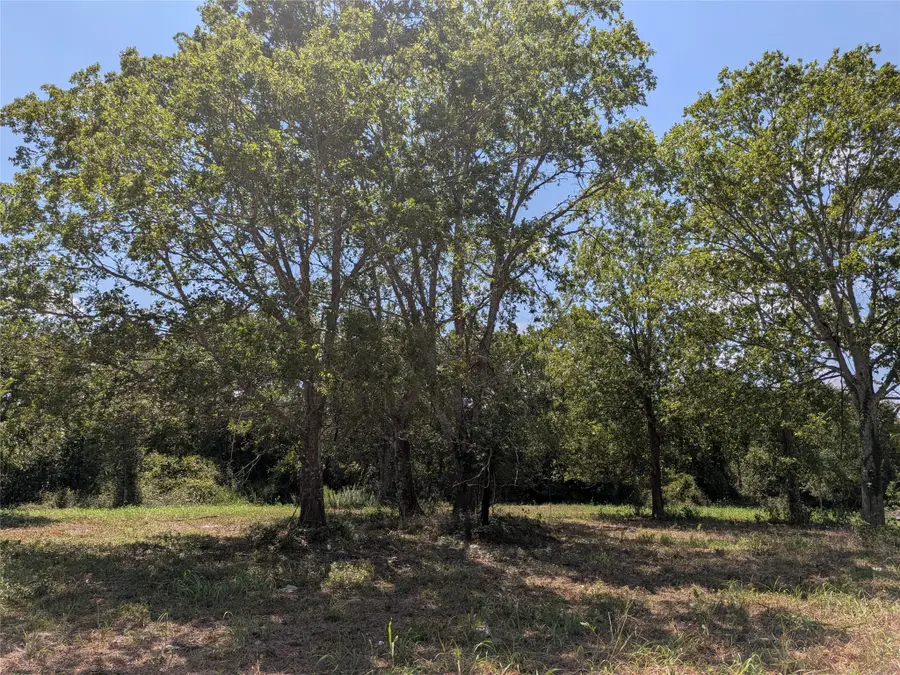 18320 Sweed Road, Washington, TX 77880 - #3