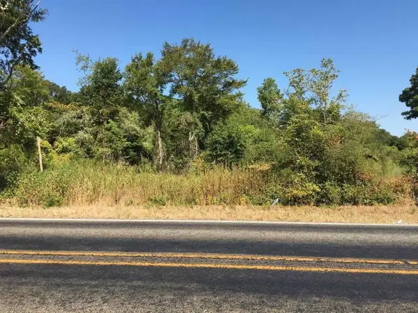 TBD State Hwy 294, Elkhart, TX 75839