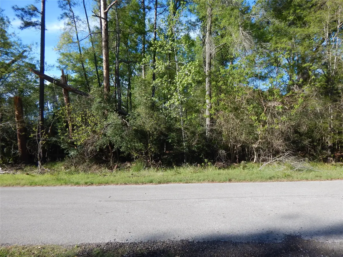 000 Pin Oak Lane, Huffman, TX 77336 - #1