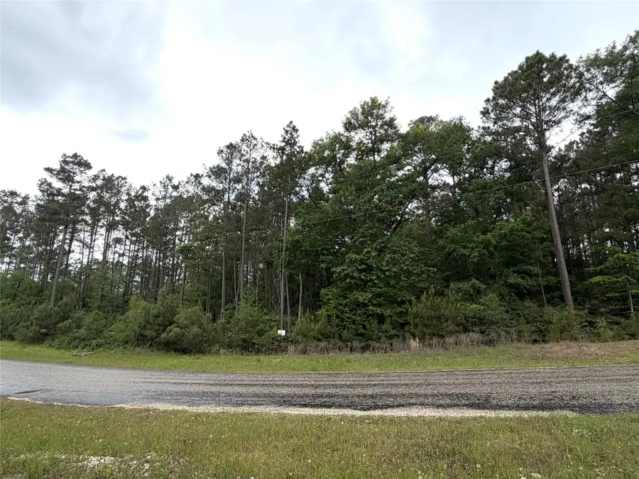 8-11-4b Sundog Road, Huntsville, TX 77340 - #2