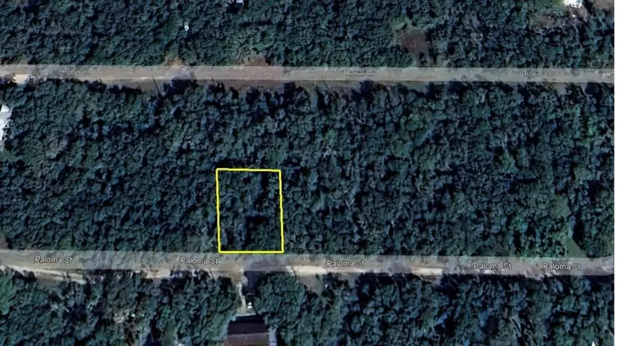 0 Paloma, Bay City, TX 77414 - #2