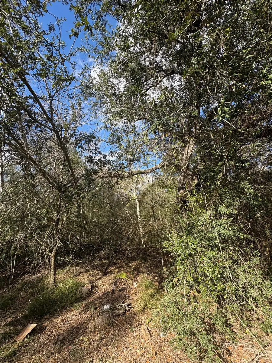 0 Paloma, Bay City, TX 77414 - #3