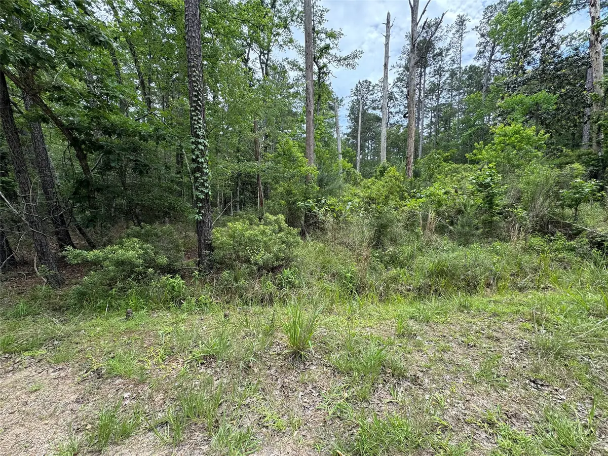 239238 Arborcrest Drive, Brookeland, TX 75931 - #1