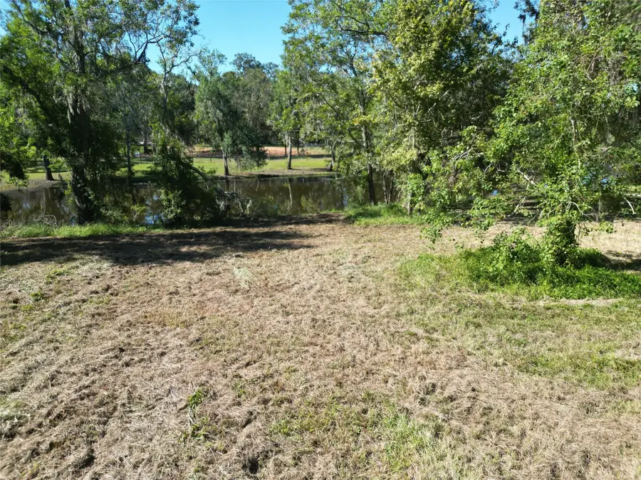 1249 Angus Court, Angleton, TX 77515 - #3