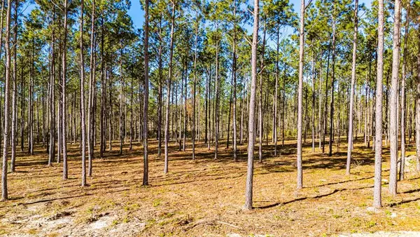 Lot 13 Big Buck Drive, Moscow, TX 75960