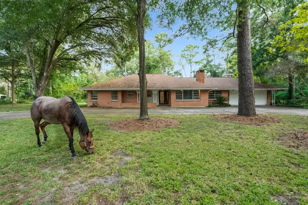 9821 Shadow Wood Drive, Houston, TX 77080