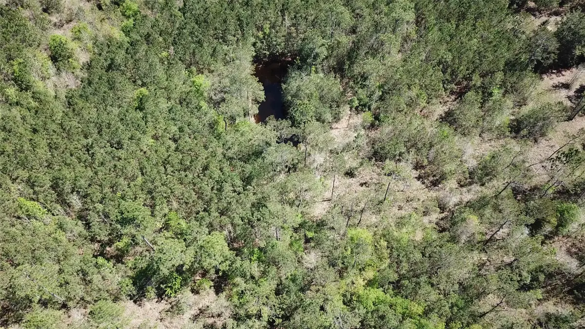 00000 Langham, Kountze, TX 77625 - #1