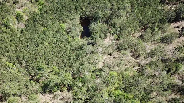 00000 Langham, Kountze, TX 77625
