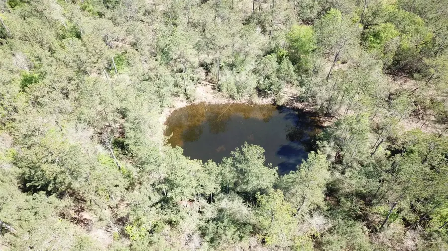 00000 Langham, Kountze, TX 77625 - #2