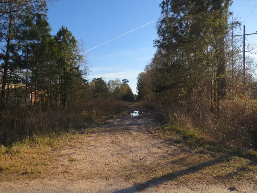 12 Acres Off W Relza Rd, Splendora, TX 77372 - #2