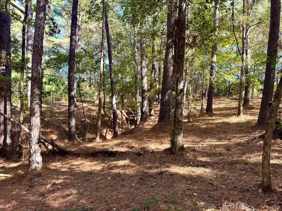 TBD County Road 3568, Woodville, TX 75979 - Image #3