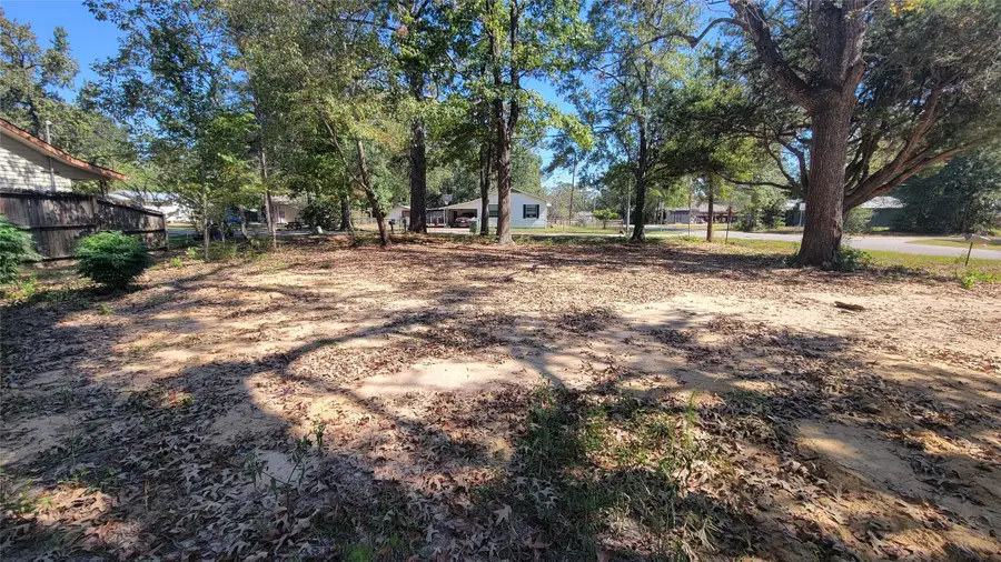 1109 Truman Street, Cleveland, TX 77327 - Image #3