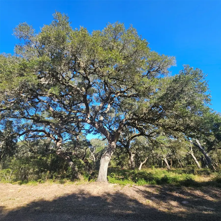 TBD Sandy Creek Drive, Garwood, TX 77442 - Image #3