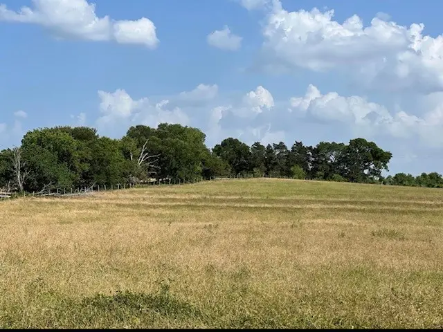 0000 Fm 149 W, Anderson, TX 77830 - Image #3