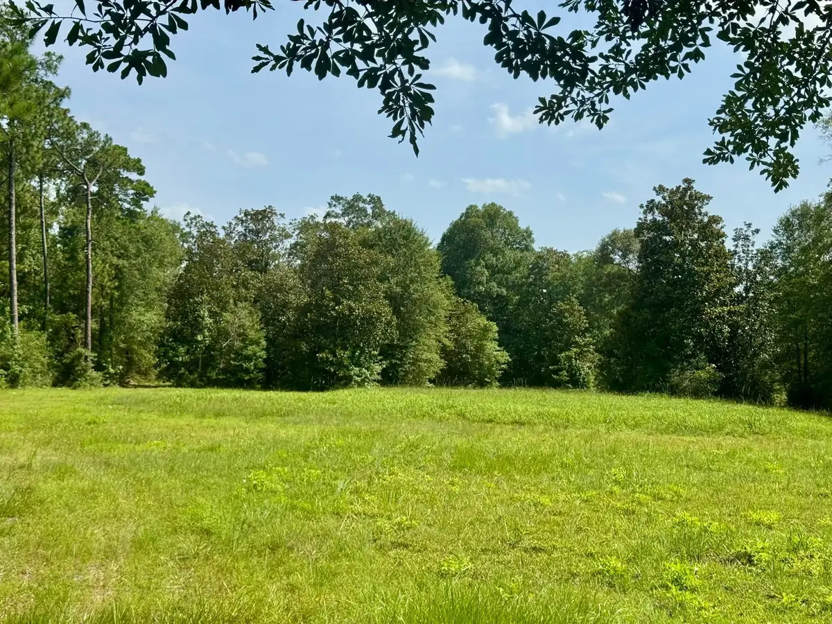 TBD Fm 1013, Hillister, TX 77624 - #1