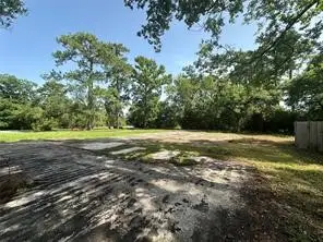 314 Forest Cove Drive, Kingwood, TX 77339 - #3