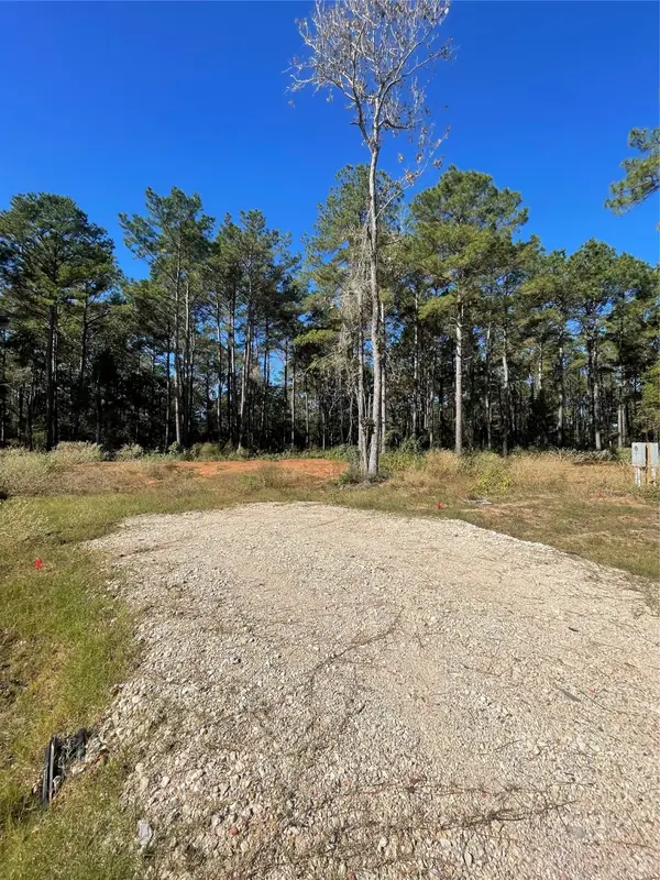 11303 Annie Creek Drive, Willis, TX 77378