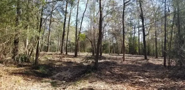 TBD Linwood, Conroe, TX 77304