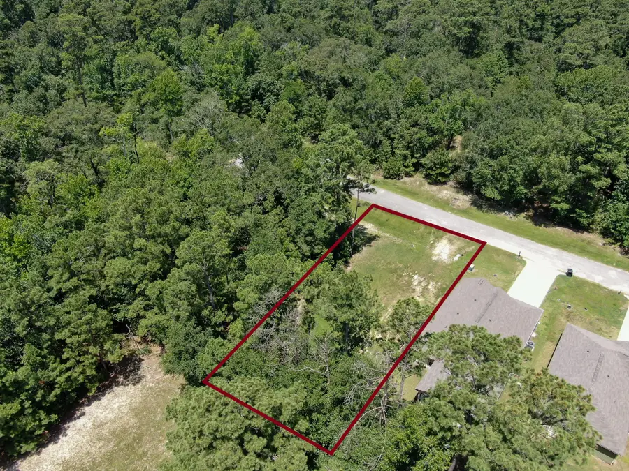 41 Firewood Road, Huntsville, TX 77340 - #2