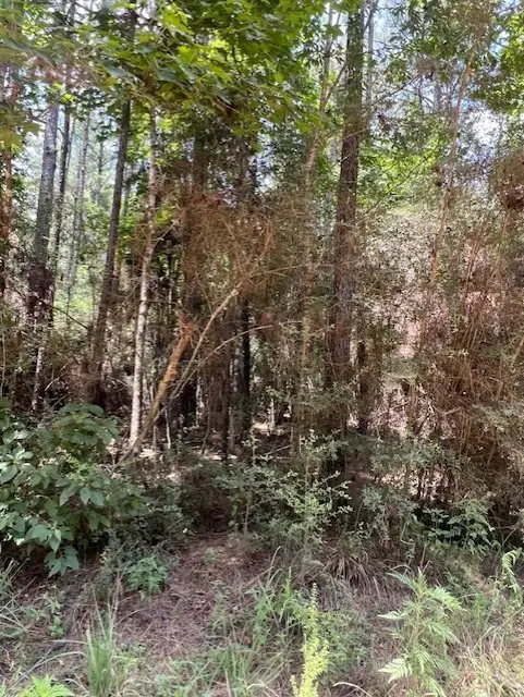 000 Camp Seale Rd, Livingston, TX 77351 - #1