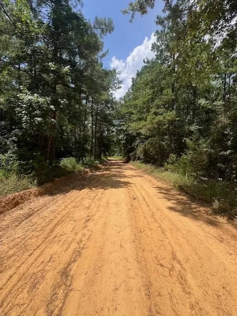 000 Camp Seale Rd, Livingston, TX 77351 - #2