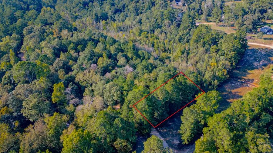 TBD E Slumberlane Drive, Livingston, TX 77351 - #3