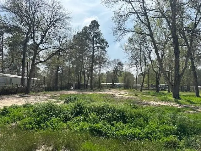 16750 Oak Knoll Drive, Porter, TX 77365 - #2