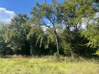 TBD-1 Lcr 898, Jewett, TX 75846 - #3