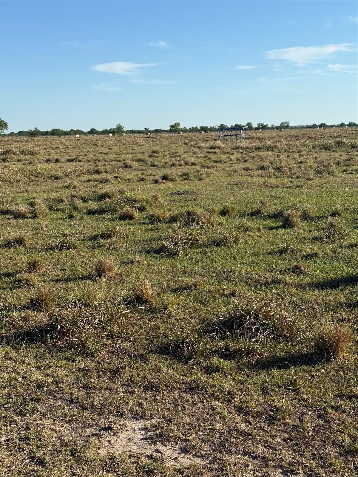 17136 Brumbelow Road, Needville, TX 77461 - #1