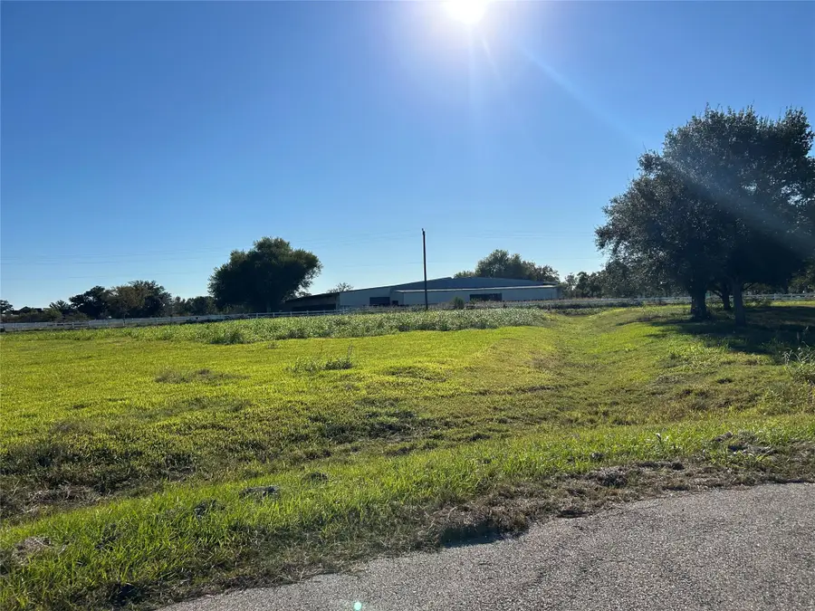 3135 Tankersley Drive, Rosharon, TX 77583 - Image #3