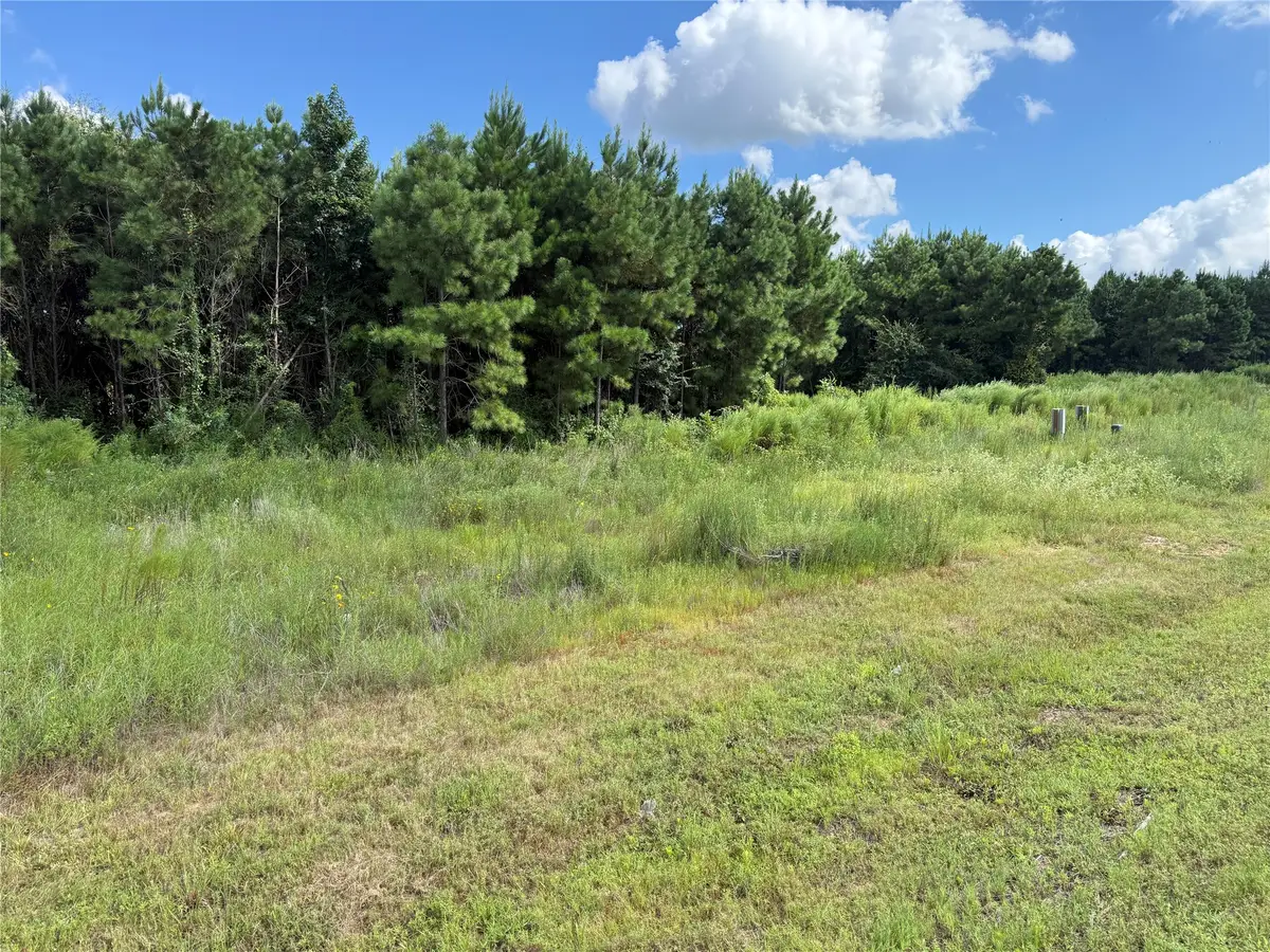 10013 Road 5868, Cleveland, TX 77327 - #1