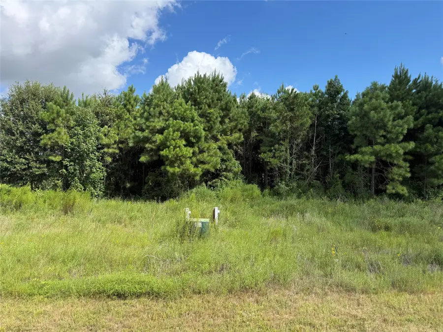 10013 Road 5868, Cleveland, TX 77327 - #3